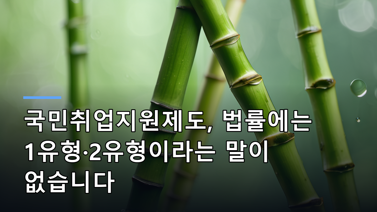 국민취업지원제도, 법률에는 1유형·2유형이라는 말이 없습니다