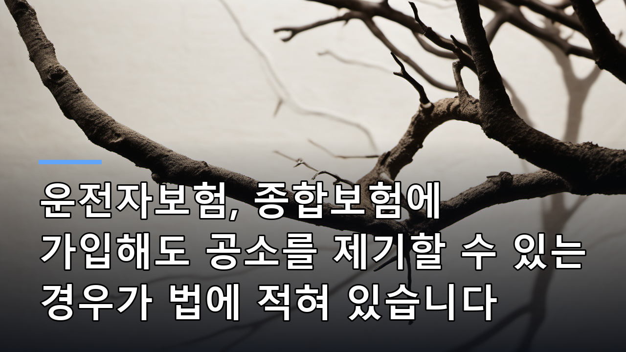 운전자보험, 종합보험에 가입해도 공소를 제기할 수 있는 경우가 법에 적혀 있습니다