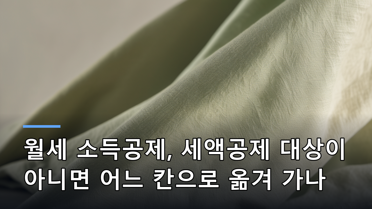 월세 소득공제, 세액공제 대상이 아니면 어느 칸으로 옮겨 가나