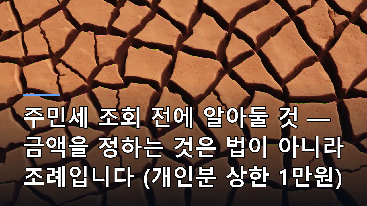주민세 조회 전에 알아둘 것 — 금액을 정하는 것은 법이 아니라 조례입니다 (개인분 상한 1만원)