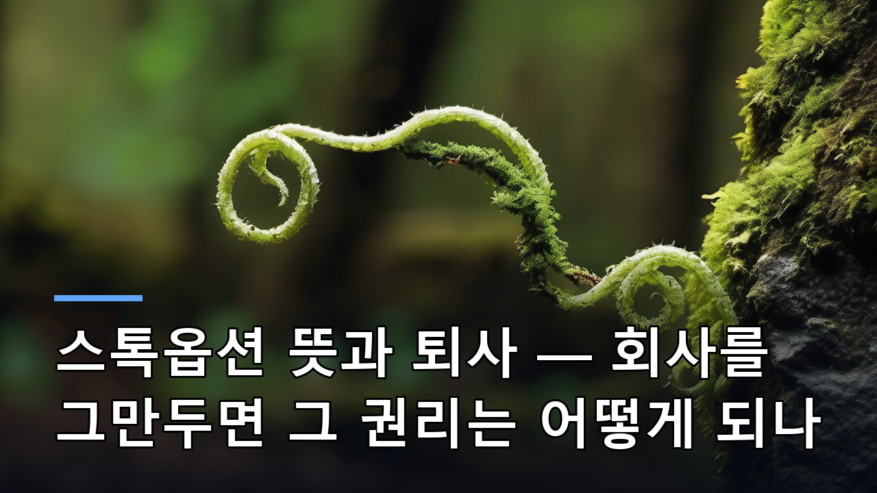 스톡옵션 뜻과 퇴사 — 회사를 그만두면 그 권리는 어떻게 되나