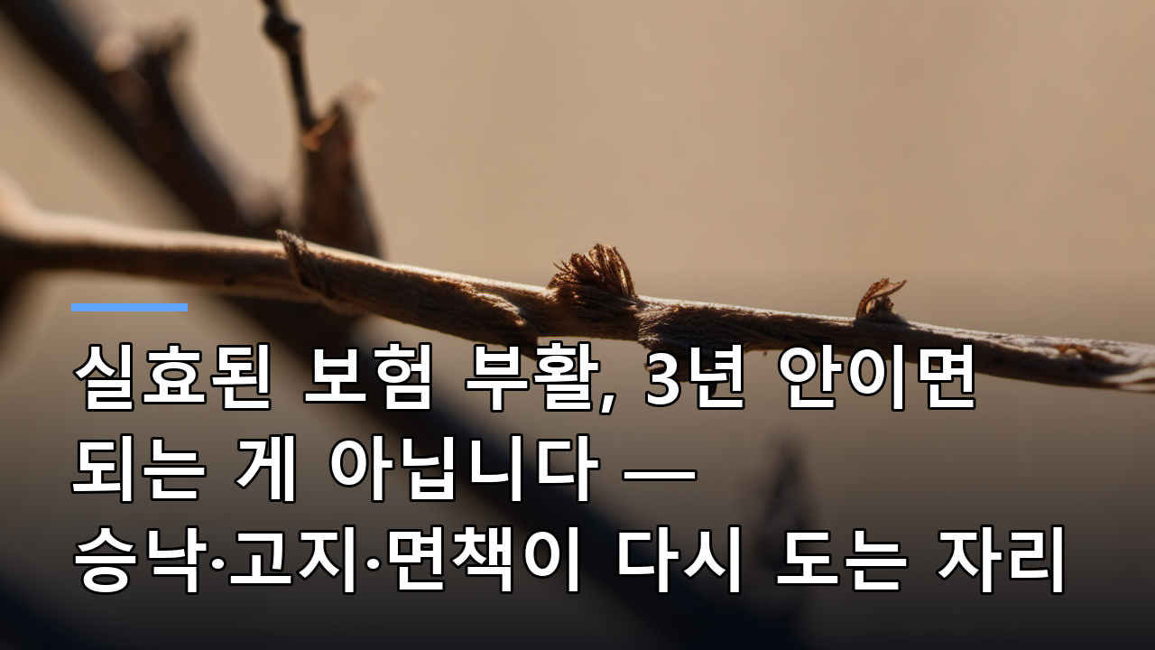 실효된 보험 부활, 3년 안이면 되는 게 아닙니다 — 승낙·고지·면책이 다시 도는 자리