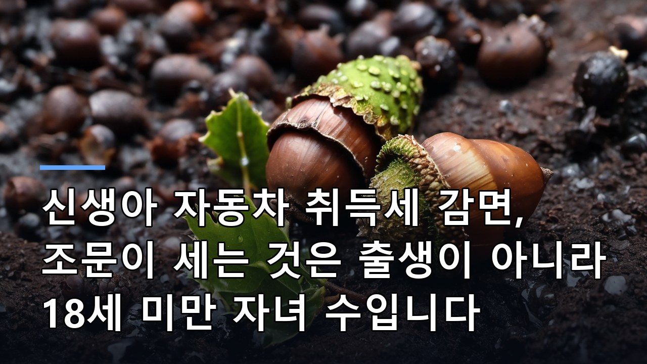 신생아 자동차 취득세 감면, 조문이 세는 것은 출생이 아니라 18세 미만 자녀 수입니다