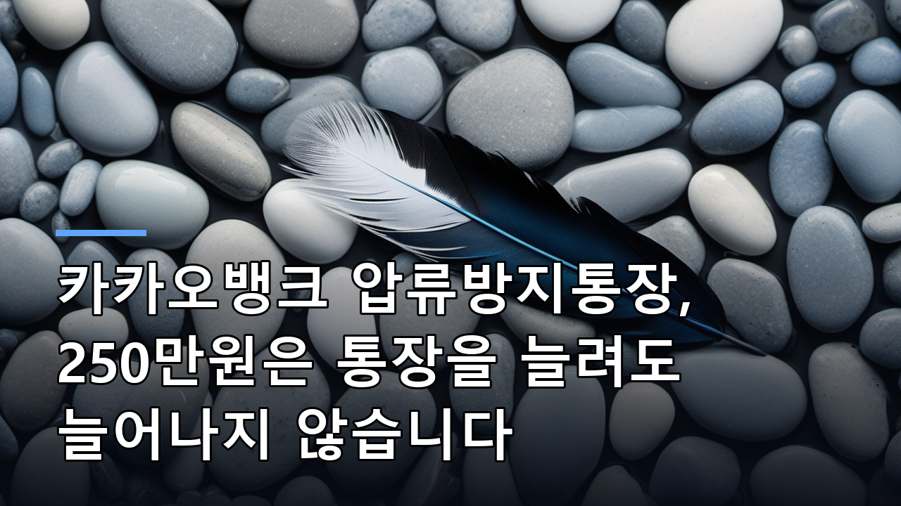 카카오뱅크 압류방지통장, 250만원은 통장을 늘려도 늘어나지 않습니다