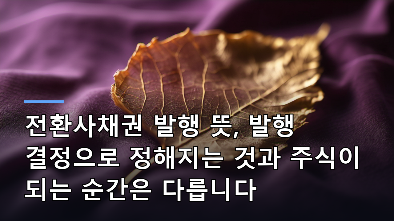 전환사채권 발행 뜻, 발행 결정으로 정해지는 것과 주식이 되는 순간은 다릅니다