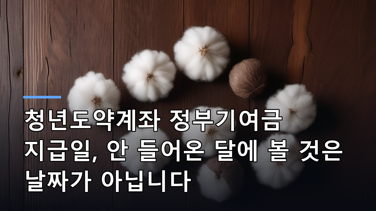 청년도약계좌 정부기여금 지급일, 안 들어온 달에 볼 것은 날짜가 아닙니다