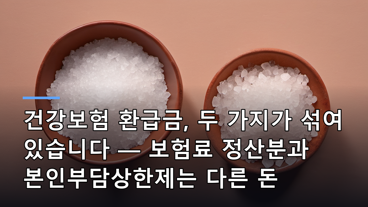 건강보험 환급금, 두 가지가 섞여 있습니다 — 보험료 정산분과 본인부담상한제는 다른 돈